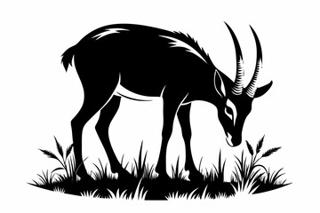 chamois eat grass line art silhouette vector illustration