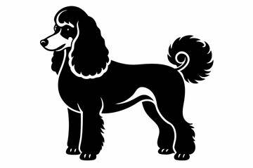 poodle dog line art silhouette vector illustration