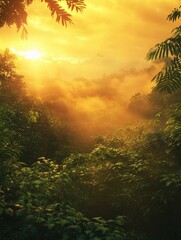 Fototapeta premium Jungle Trees with Sunlight
