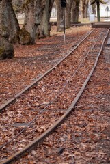 Old abandoned narrow gauge railway