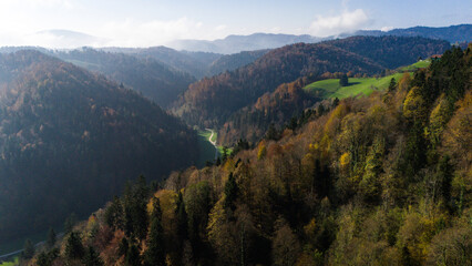 Scenic View of Forested Mountain Valley with Lush Meadows and Rolling Hills