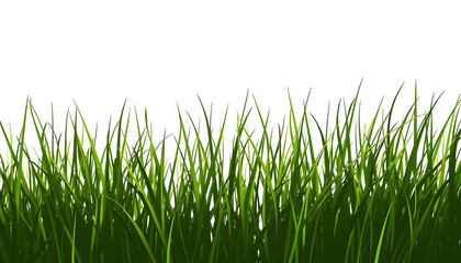 Grass natural silhouette as background , with white tonespng