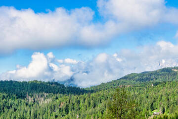 Obraz premium A stunning forest near Danta di Cadore, Italy, captured in June 2024, with vibrant green trees, clear blue skies, and fluffy white clouds—a perfect slice of natural tranquility