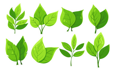collection of stylized green leaves. Lush vibrant green leaves with shading and veining on white background for eco project, design, packaging