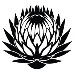 Succulent agave is in a simple style, using vector illustration. Desert flower for print and design. Silhouette Mexican plant, graphic isolated element on a white background