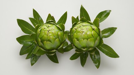 A pair of green artichokes with visible textures and natural patterns, arranged neatly on a white background.