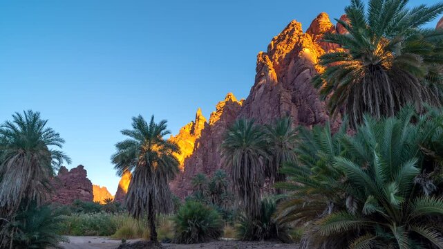 Time lapse of sunset sunrise in Wadi Disah, with beautiful rock and date tree in Tabuk,  Saudi Arabia.