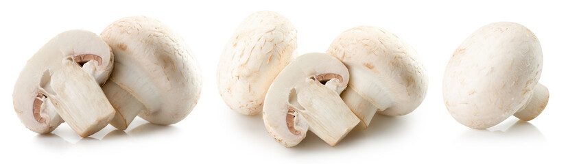 set of champignons isolated on a white background