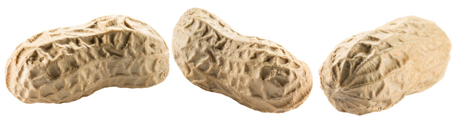set of peanuts in shell with leaves isolated on a white background