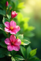 Vibrant blooming flowers, lush green leaves, soft sunlight , colorful, pastel, flowers