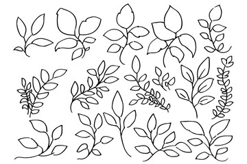 手書きの木の葉や草のボタニカル線画のイラスト　ベクター