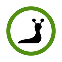 Snail Icon