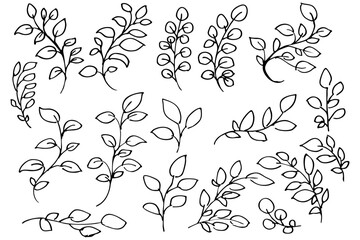 手書きの木の葉や草のボタニカル線画のイラスト　ベクター