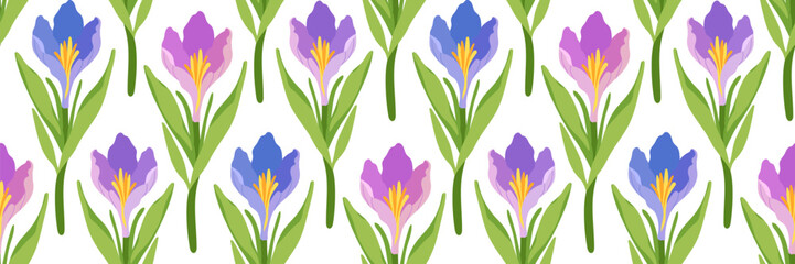 Spring Floral Seamless Pattern with Purple and Pink Flowers. Blooming crocus flowers with green leaves. Delicate botanical background for textiles, wrapping paper, wallpapers. Vector flat illustration