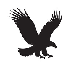 Big Eagle Open his wings