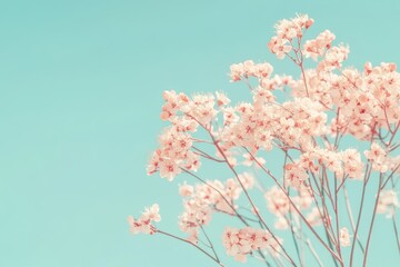 Naklejka premium 空色の背景に映える淡い色合いの花束が優雅に揺れている