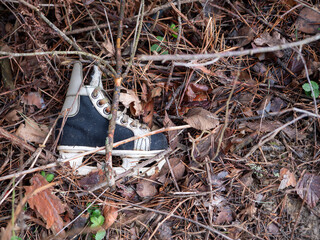An old, abandoned ice skate partially buried under dry leaves, twigs, and pine needles in a forest. The scene conveys a sense of mystery, decay, and forgotten memories in nature.
