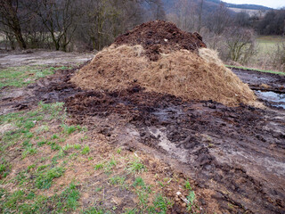 A large pile of manure and straw in a rural setting, surrounded by muddy ground and puddles. The...