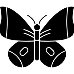 Butterfly Icon