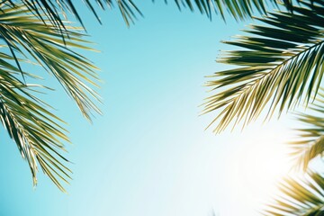Fototapeta premium 青空の下、ヤシの葉が鮮やかに装飾する夏の日の自然の一コマ