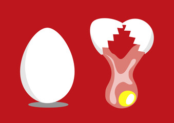 Fototapeta premium 生卵を割ったところ