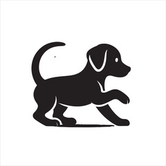 Vector playfully dog