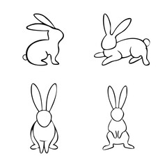 Bunnys