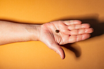 Hand showcases a single coffee bean against a vibrant backdrop