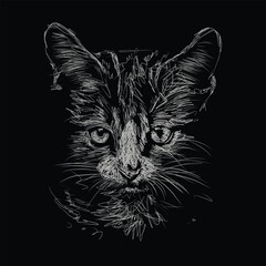 cat portrait sketch scribble