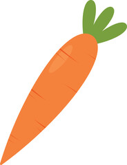 One carrot. Isolated vector illustration.