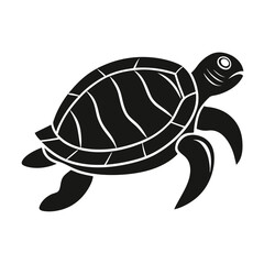turtle vector illustration