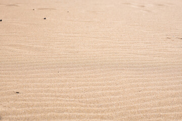 Vast sandy landscape with gentle ripples under warm sunlight