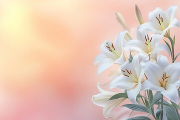 Easter Background, Easter Banner, Elegant White Lilies Bouquet on Soft Pink Background Floral Spring Blossom Image