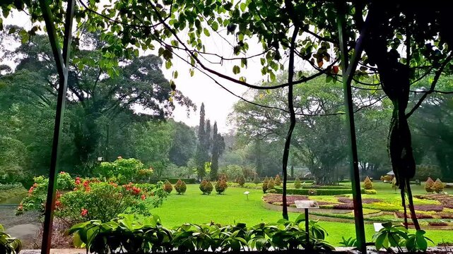 Tropical rainy season is characterized by outdoor spaces with green plants and trees in the garden Kebun raya Bogor, Indonesia.