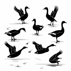 Group of Ducks Vector silhouettes.