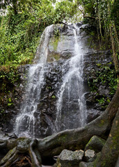 waterfall in the forest