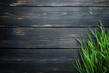 Fototapeta premium Easter Background, Easter Banner, Lush Green Grass on Dark Rustic Wooden Background Nature Texture