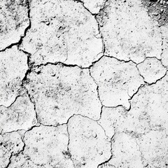 Obraz premium A close up photograph of a cracked and dry surface