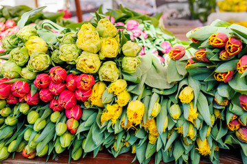 Close-up heap pile fresh yellow Dutch tulip bouquet lay wooden table vibrant street flower market sale. Lot multicolored tulips bouquets. Floral blooming wholesale retail plant store. Florist service