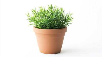 Fototapeta premium . The natural, earthy tone of the pot contrasts beautifully with the vibrant greenery, bringing a sense of calm and tranquility to any space