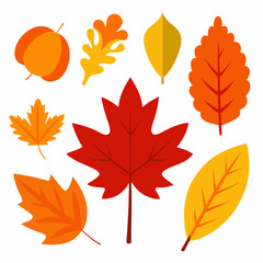 Summer palm leaf vector green plant, exotic nature set isolated on white background. Jungle illustration,  Vector illustration of autumn leaves,