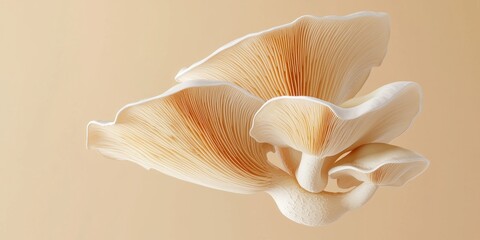 Flying king oyster mushroom with thick, juicy stem, on a pastel beige background