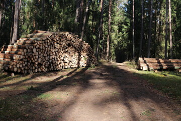 Deforestation in March