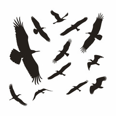 Birds silhouette bundle vector design