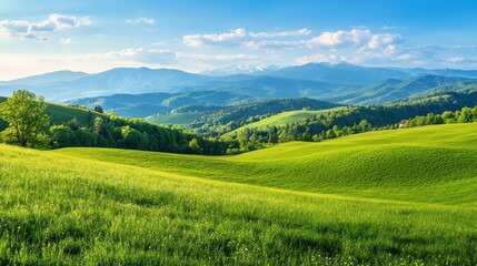 Fototapeta premium Serene Green Hills and Distant Mountains: A Breathtaking Landscape