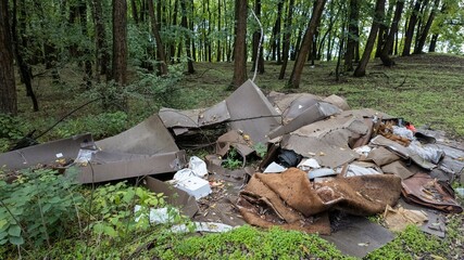 Illegal dumping of garbage in a forest, environmental pollution, waste management issues, preserving nature