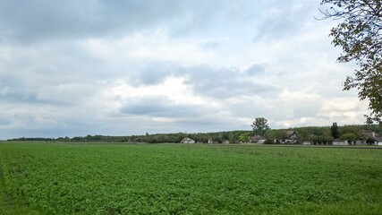 Obraz premium Expansive green field under cloudy sky, rural farming concept, nature serenity, peaceful countryside landscape