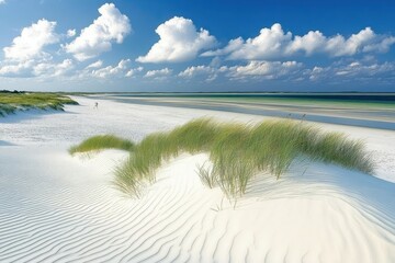 A beautiful scenic landscape of a coastal beach with dunes