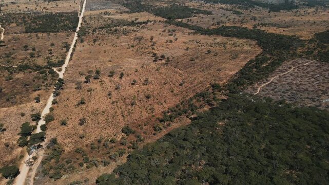 DEFOREST, HUAMBO ANGOLA