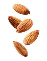 Almonds falling on transparent background, ready to use in your designs